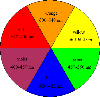 Essay on color theory